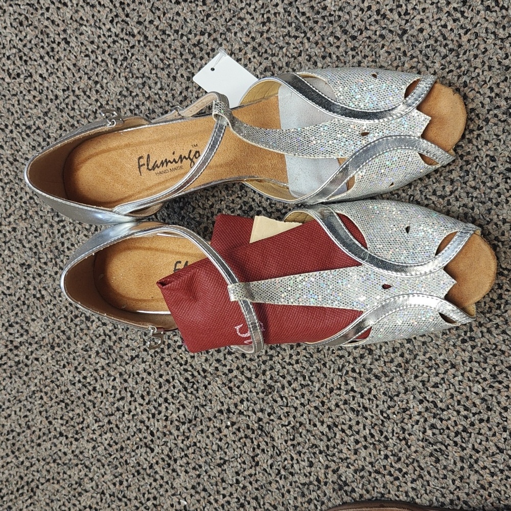 Flamingo dance shoes silver glitter